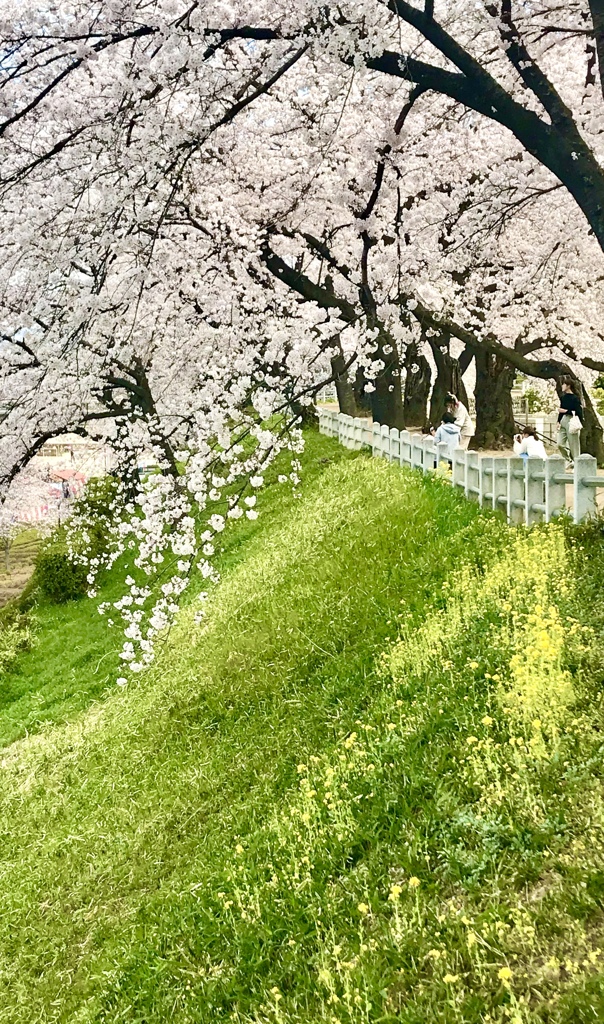 春の日に