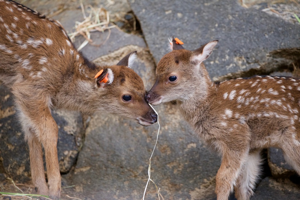 んまー、かわいい(^ ^)