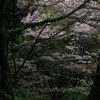 谷の春