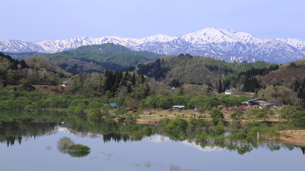 飯豊連峰と白川湖水没林