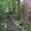 弁慶の油こぼし(二の坂）