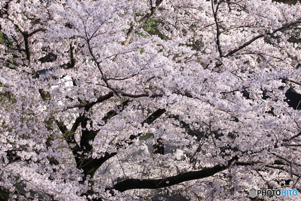 圧巻
