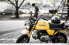 HONDA GORILLA