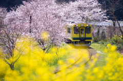 線路の上の色彩美