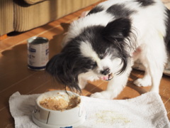 ご飯を食べるときはいつも