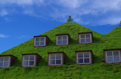 緑の屋根