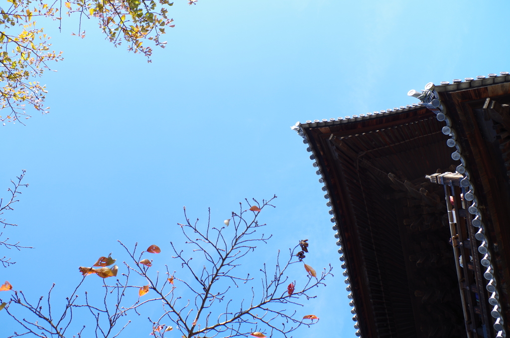 秋空と南禅寺三門