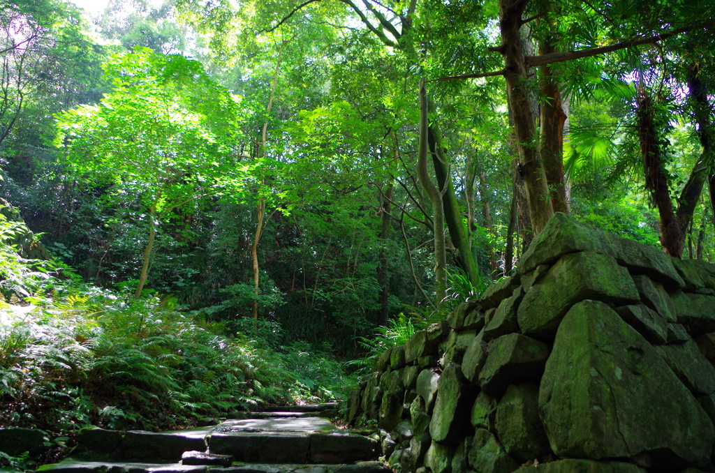 天守への道