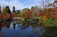 秋の永観堂