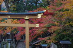 鳥居と紅葉