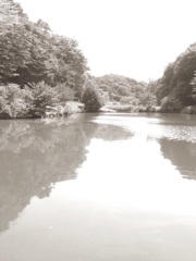 公園の池