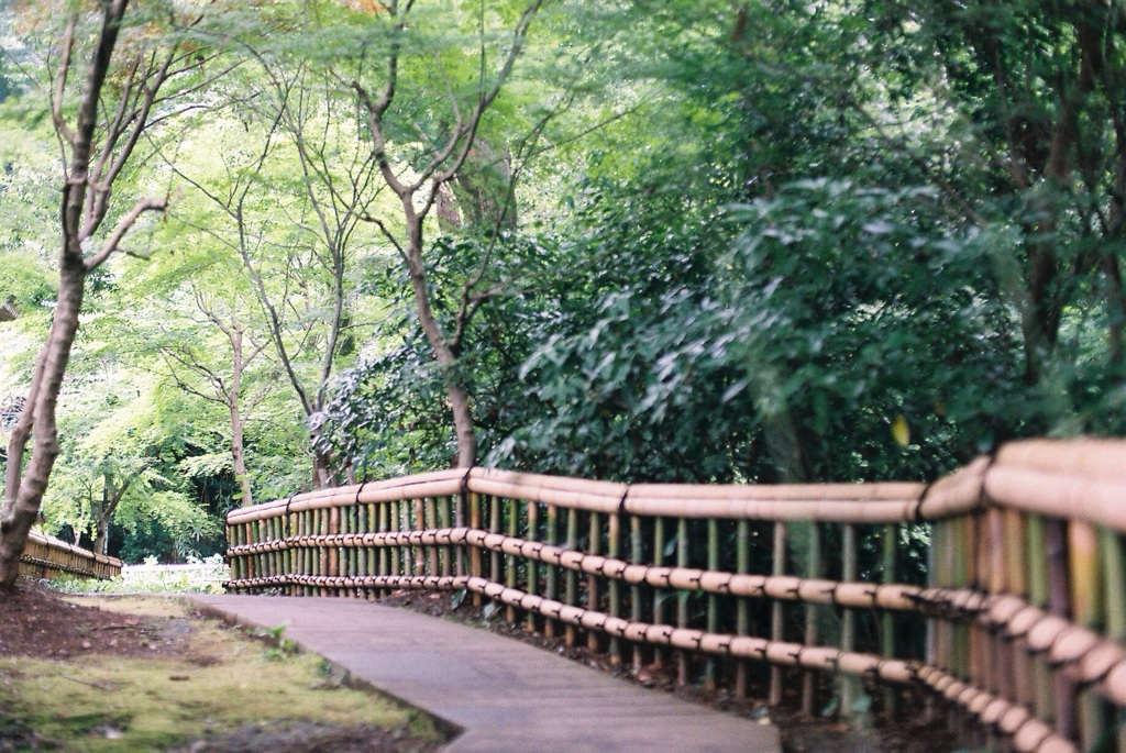 深大寺