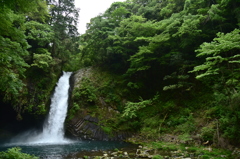 浄連の滝