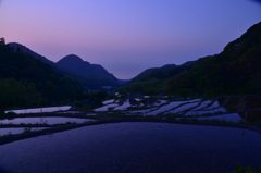 石部の棚田