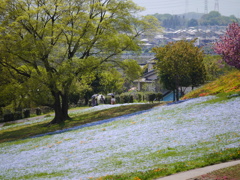水の流れのよ～に～