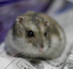 こう見えても35歳