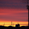 赤い夕焼け