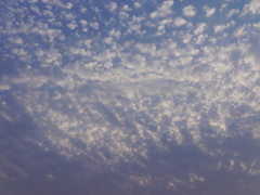 空