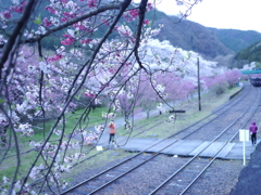 電車が来ない