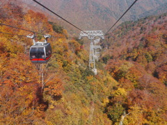 谷川岳ロープウェイ