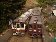 揃い踏み
