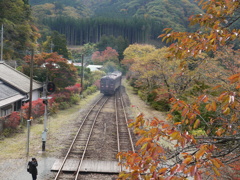 過ぎ去る・・・秋