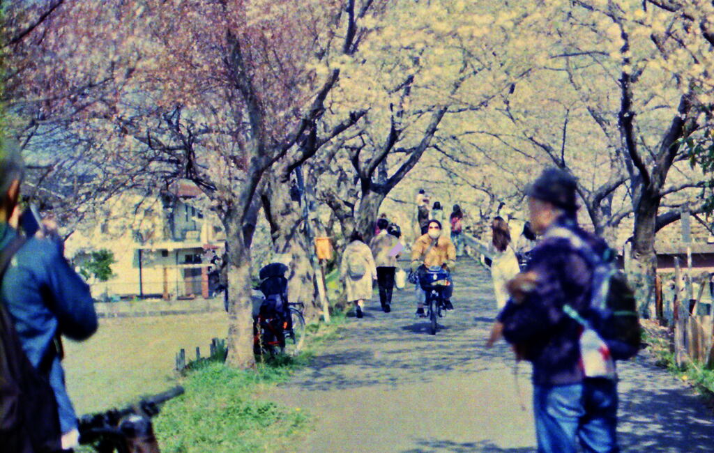 IMG_20250411_0005_0001