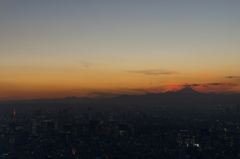 スカイツリーから東京と富士山を望む