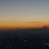 スカイツリーから東京と富士山を望む