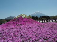 ミニ芝富士山