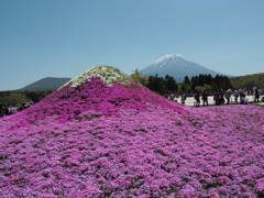 ミニ芝富士山