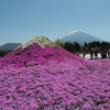 ミニ芝富士山