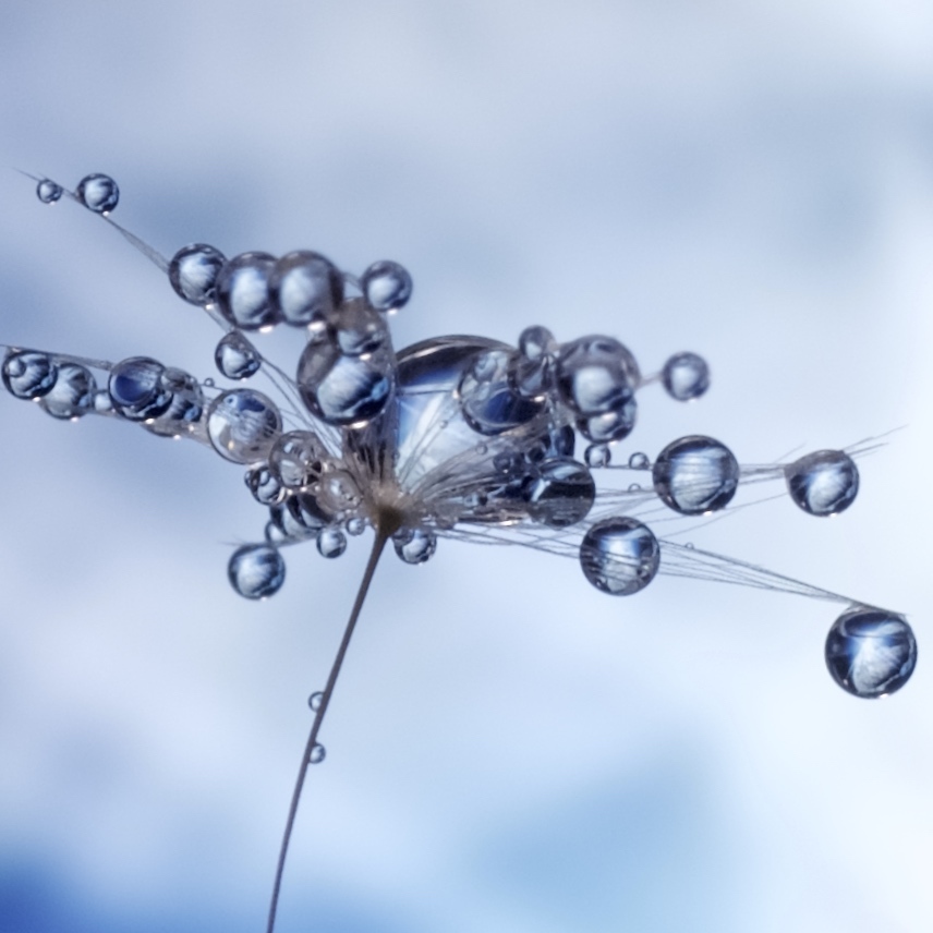 drop