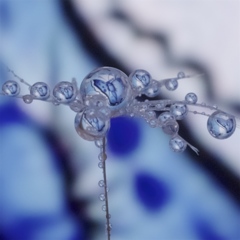drop