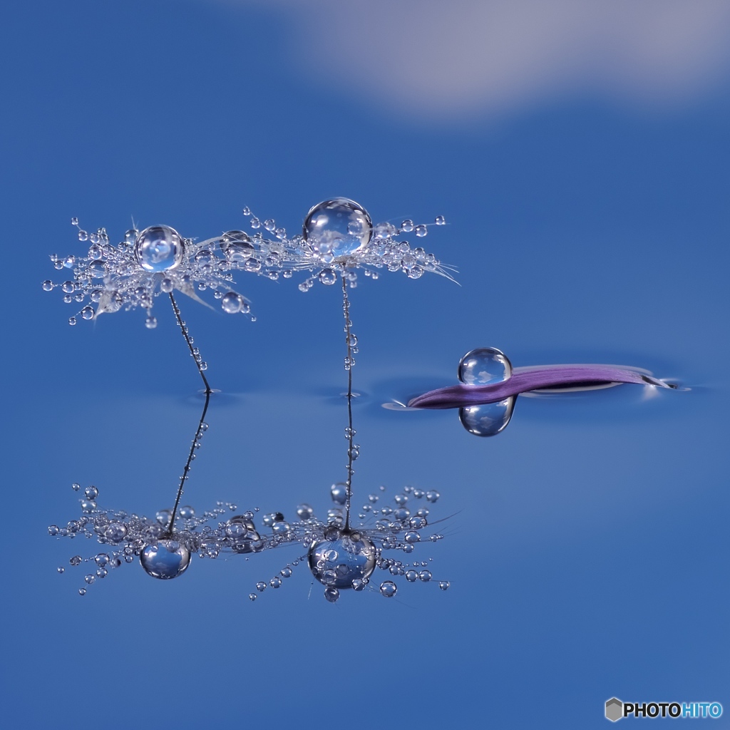 drop