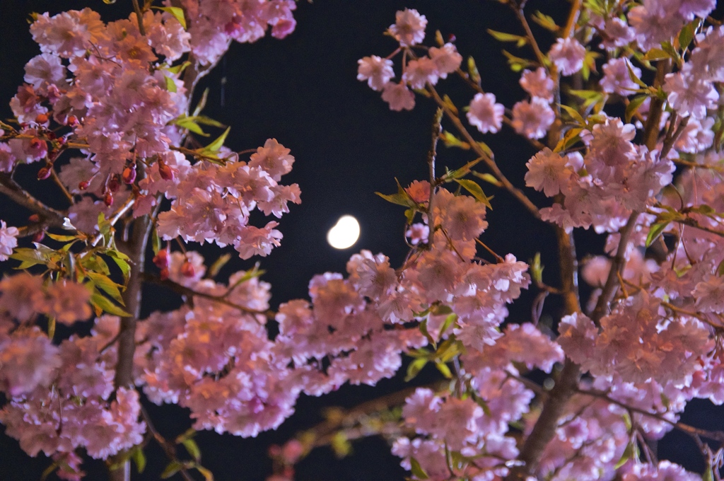 花金に一杯。帰ります。