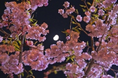 花金に一杯。帰ります。