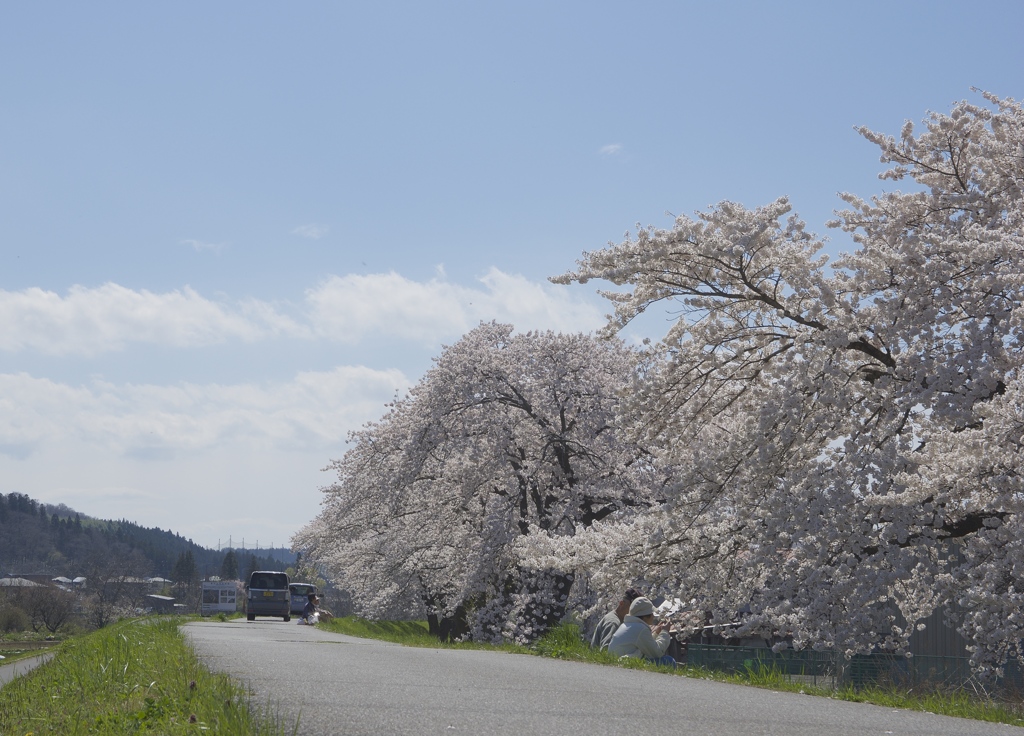 ほっこりするー