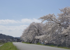 ほっこりするー