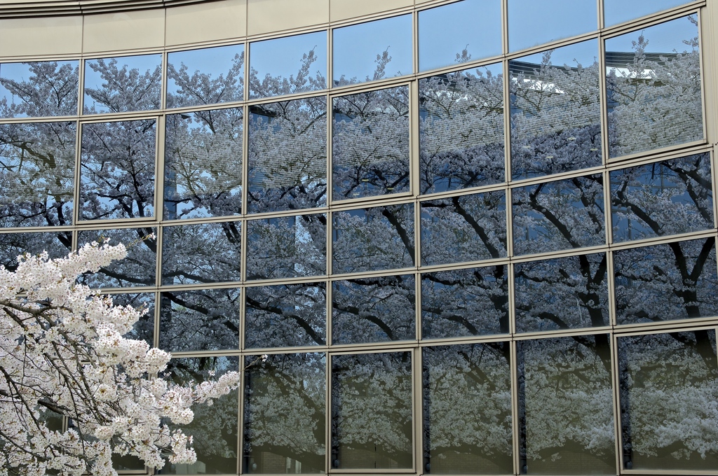 岩手大学図書館２