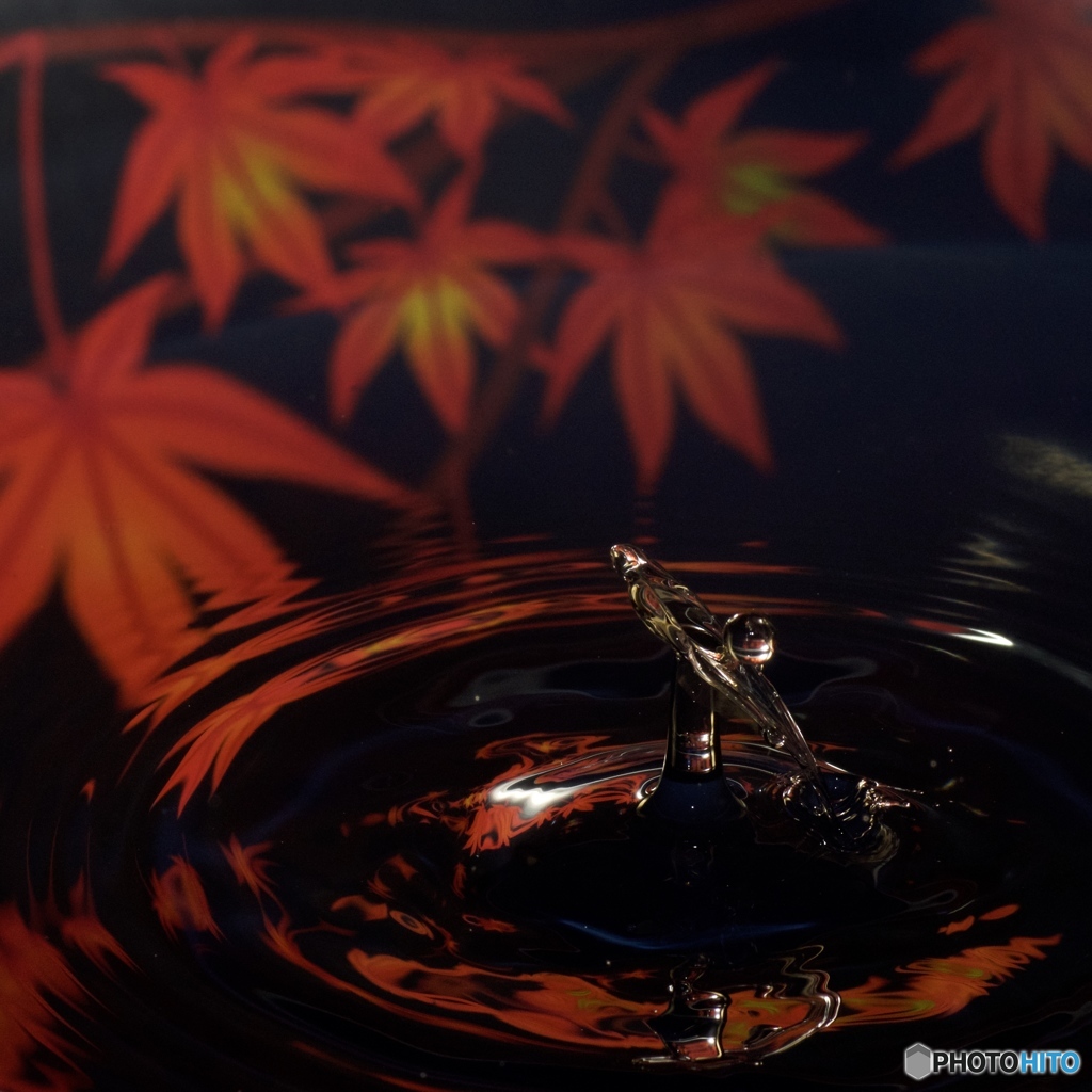 Water splash 紅葉