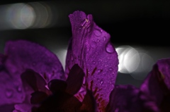 雨す