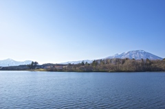 小岩井