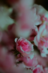 lovely♡