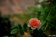 Quietly...
