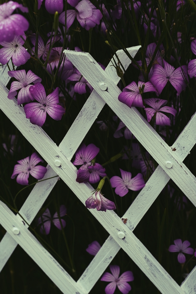 feeling fluttering...