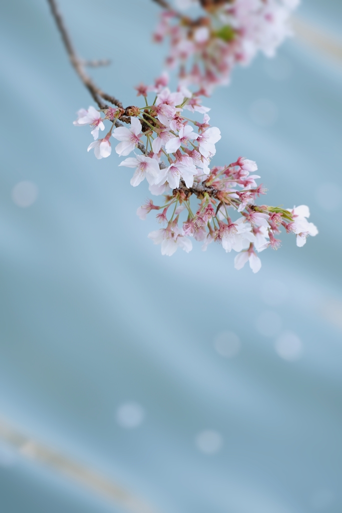 水面