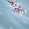 水面