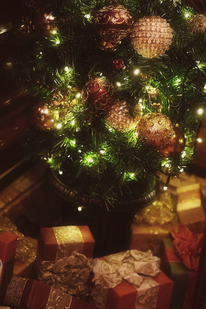 Merry Christmas☆