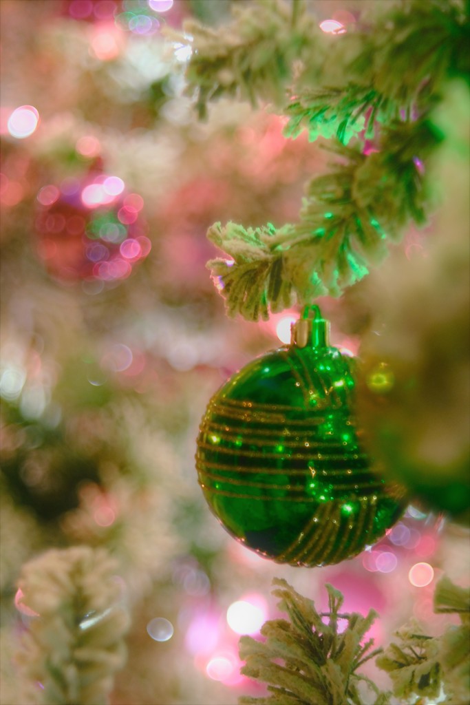 Christmas is coming!